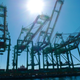 Illustration for article titled How LA Is Building the Worlds Most Futuristic Port